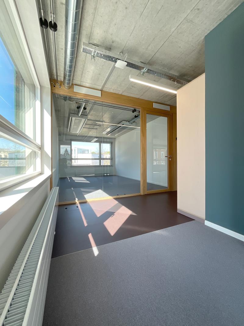 Leeres Bürozimmer mit Betondecke, Holztür, grauer Wand und Fenster mit Sonnenlicht.