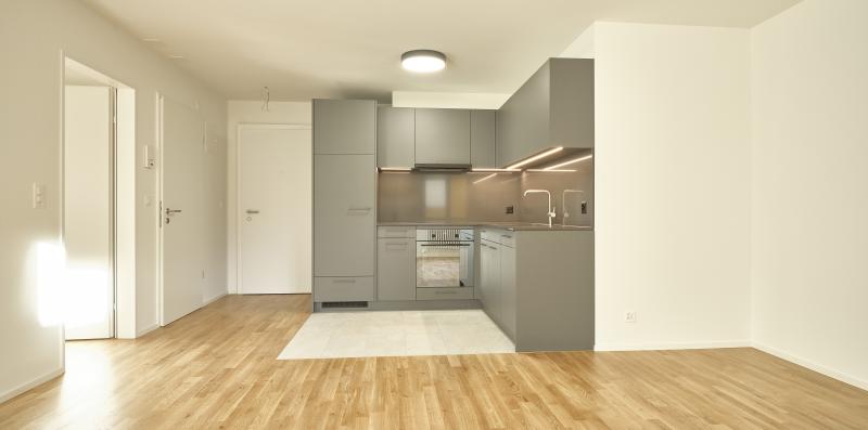 Offene Wohnküche mit grauen Einbauschränken und Parkettboden im Mehrfamilienhaus Rütistrasse.