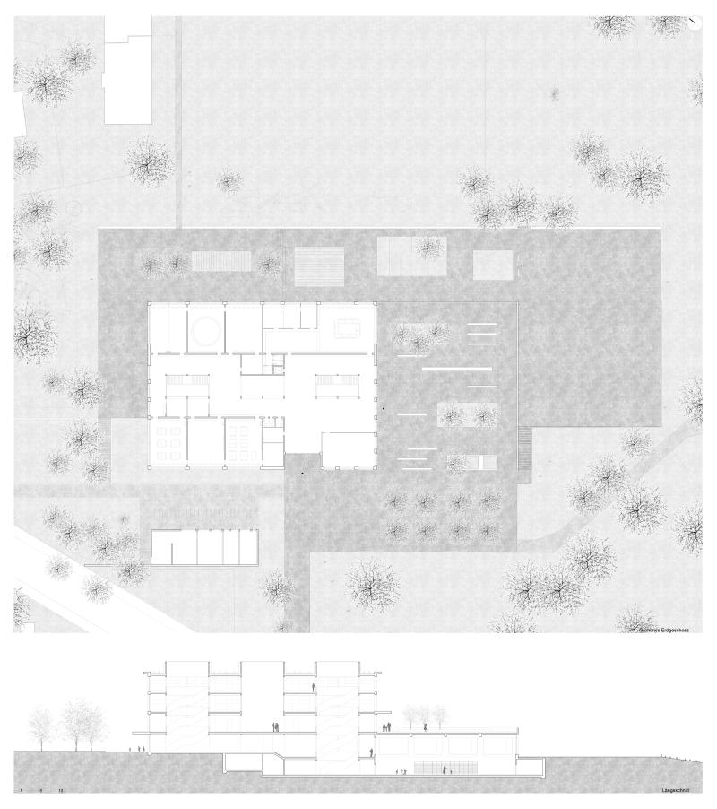 Grundriss und Schnitt des Schulhauses Schauenberg in Zürich von Reichel Architekten.